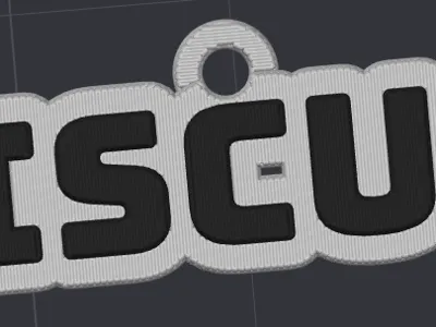 Cat name tags