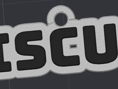 Cat name tags