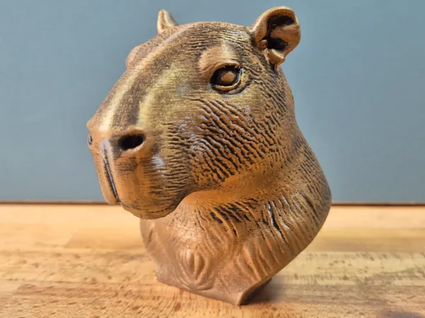 https://makerworld.bblmw.com/makerworld/model/USfbf594dea7d2a7/design/2025-06-04_7f0e6213185308.jpg