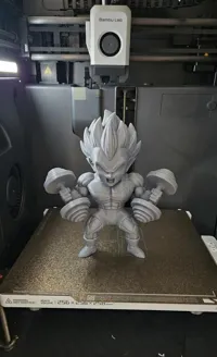0.16mm layer, 2 walls, 8% infill