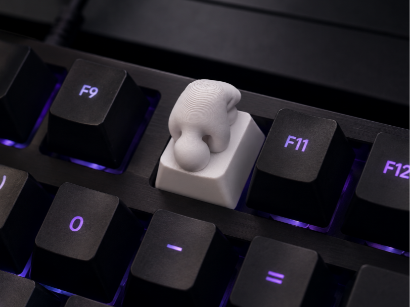 Meccha chameleon Hider keycap