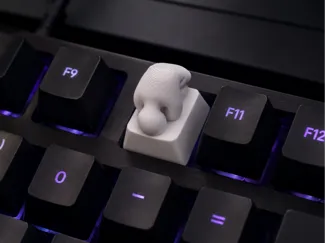 Meccha chameleon Hider keycap