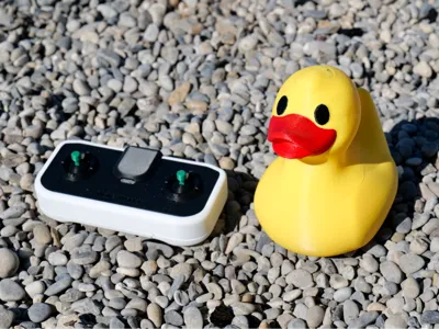 René the Rubber Duck Boat