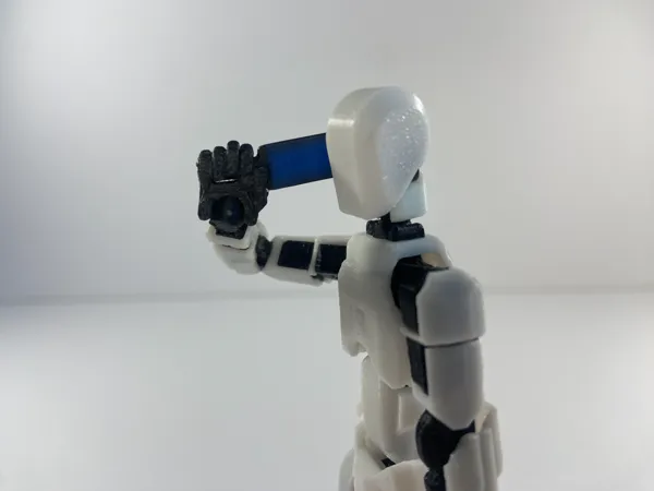 https://makerworld.bblmw.com/makerworld/model/USfbfc93bbd03688/design/2024-12-31_41af5c34fc333.jpg