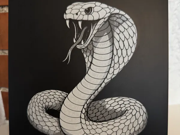https://makerworld.bblmw.com/makerworld/model/USfbfe539cfd9a78/design/2025-06-01_f2a1373ec51ef.jpg