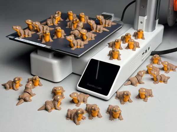 https://makerworld.bblmw.com/makerworld/model/USfbff1e68705233/design/2025-05-13_429da2ad2fc508.jpg