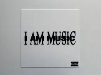 Playboi Carti - MUSIC Album Cover