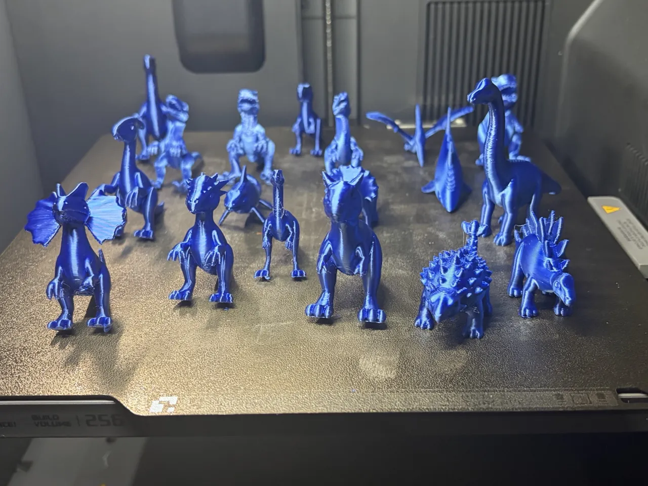 Complete Dinosaur Collection view 2