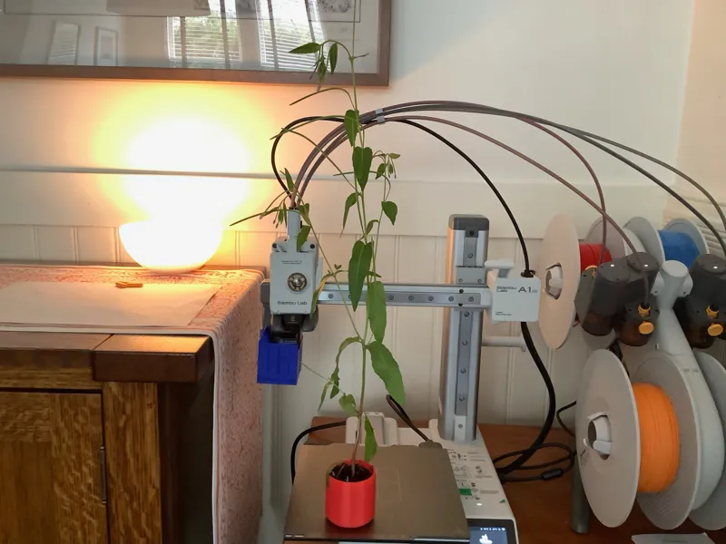 Small Indoor house plant pot.