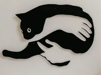 quadretto gatto