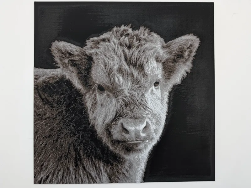 Highland Cow - 5 Color Hueforge