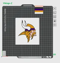 Vikings plate