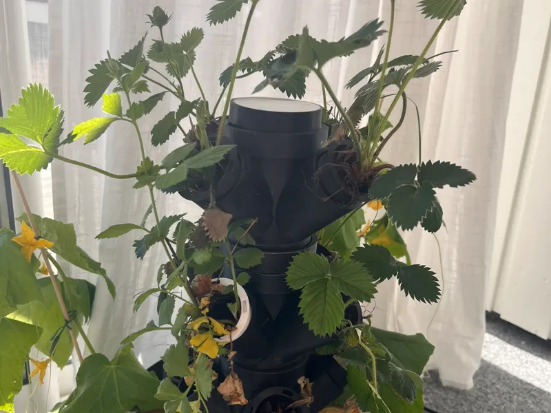hydrophonic tower