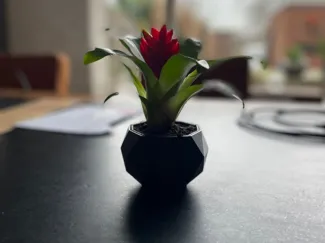 plant pot better version