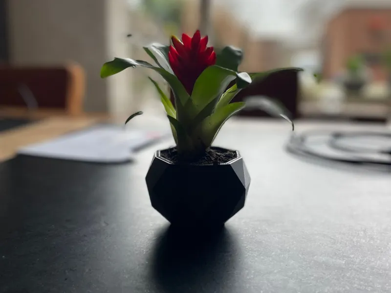 plant pot better version