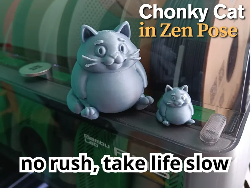 Chonky Cat in Zen Pose