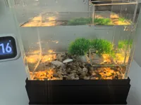 单色纯色基座