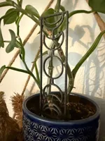 Tuteur pour plantes grimpantes - phases de la lune — photo 3