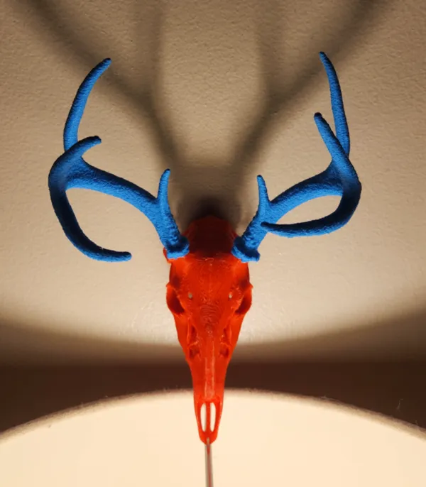 https://makerworld.bblmw.com/makerworld/model/USfc23ad551b3f73/design/2024-11-01_e2c64e151bcac.jpg