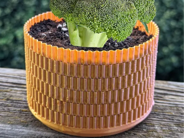 https://makerworld.bblmw.com/makerworld/model/USfc2404018ce53/design/38eb007e24963d05.png