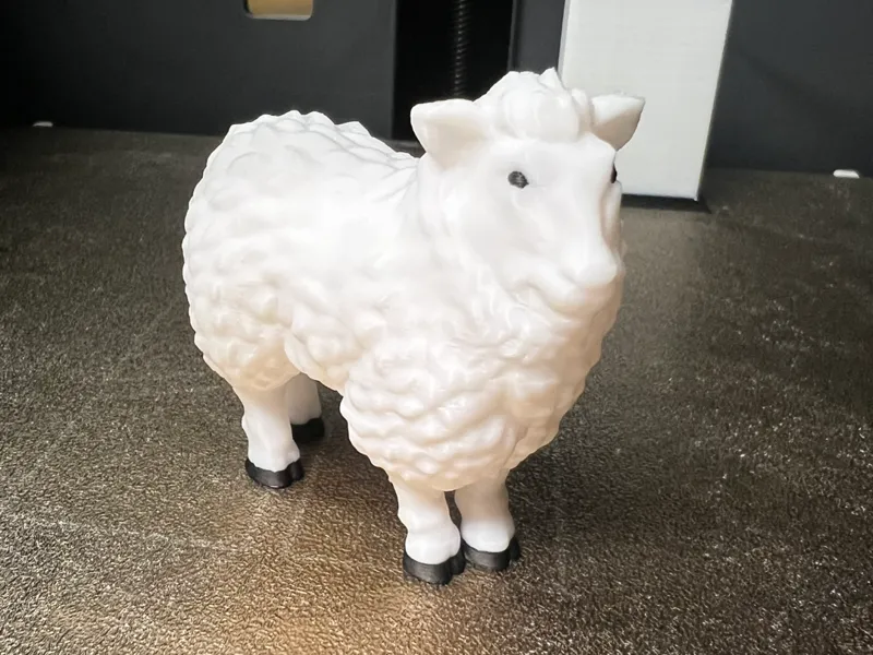 Sheep No Support Pained AMS