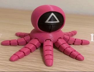 OctoSquid Squid Game Ward Triangle 