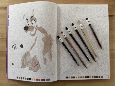 Pencil ring identifier