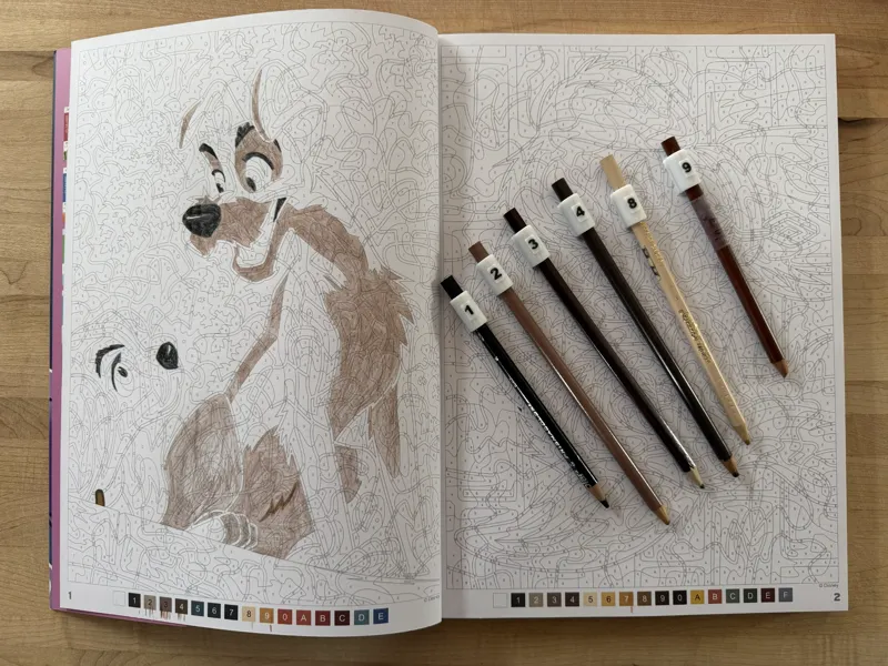 Pencil ring identifier