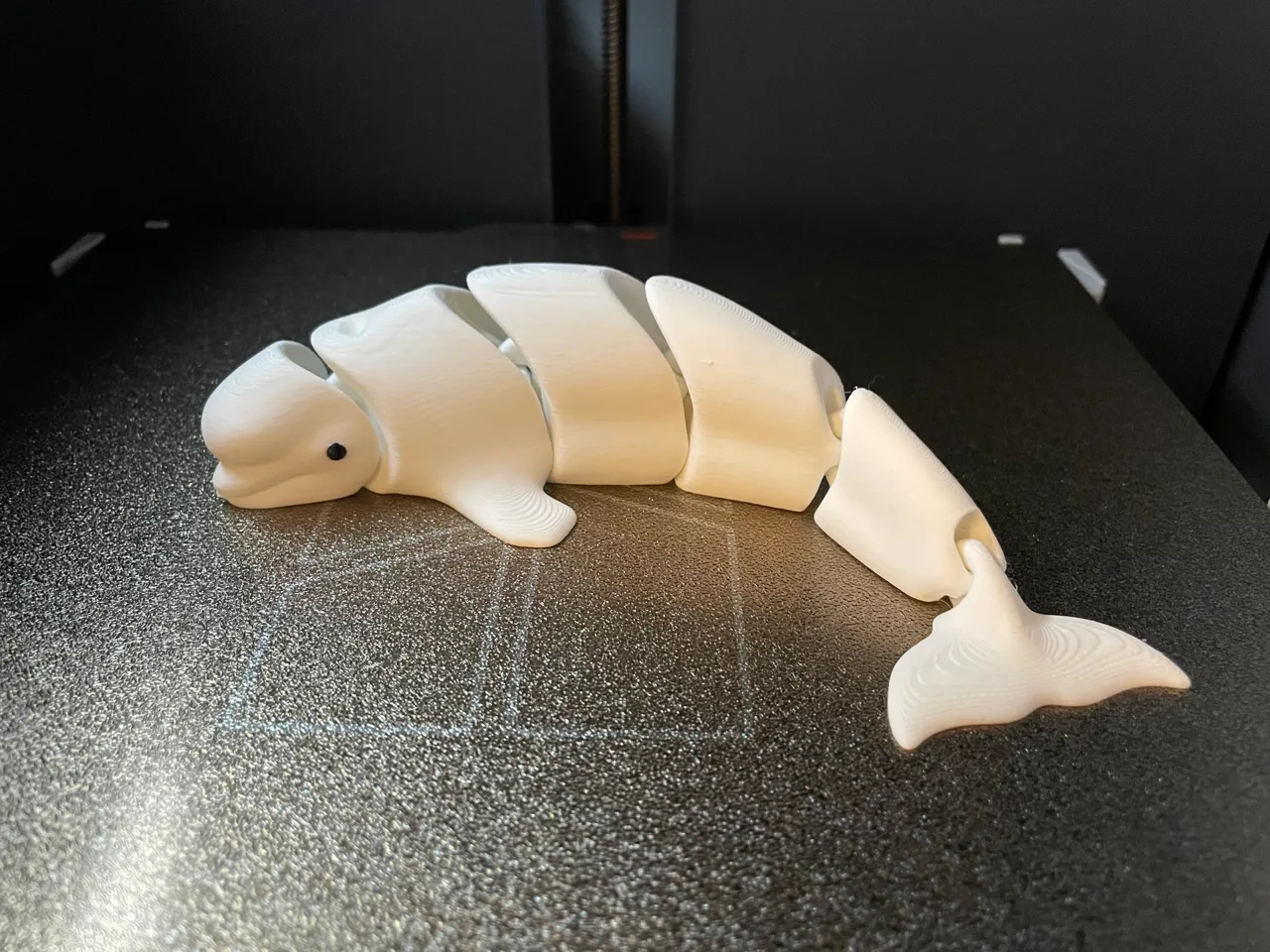 Articulated Beluga whale view 4