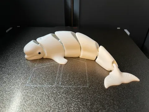Articulated Beluga whale view 4