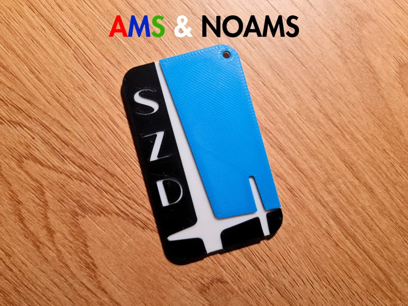 SZD Allstar PZL Glider Keychain Logo |AMS & NOAMS