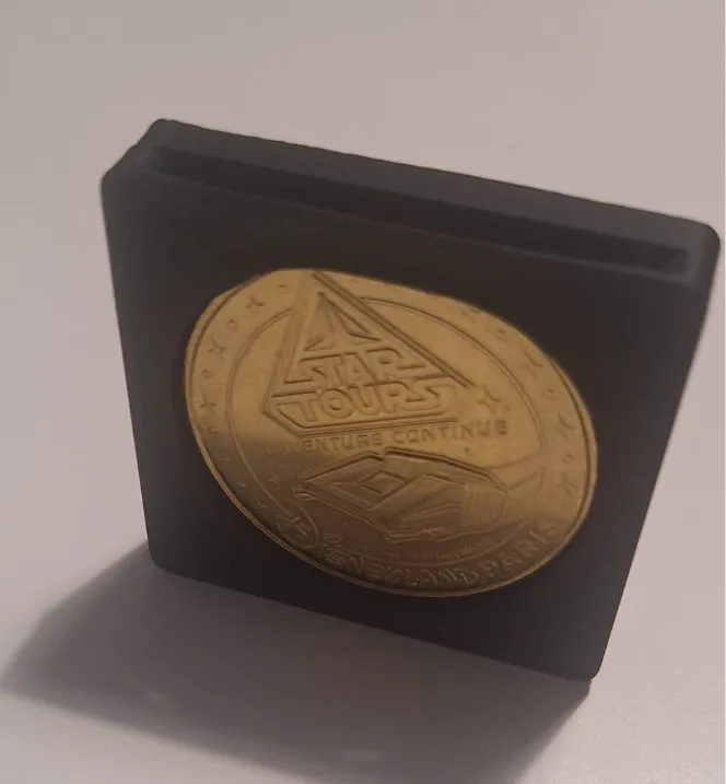 Disneyland Paris Souvenir Medallion Display Fridge