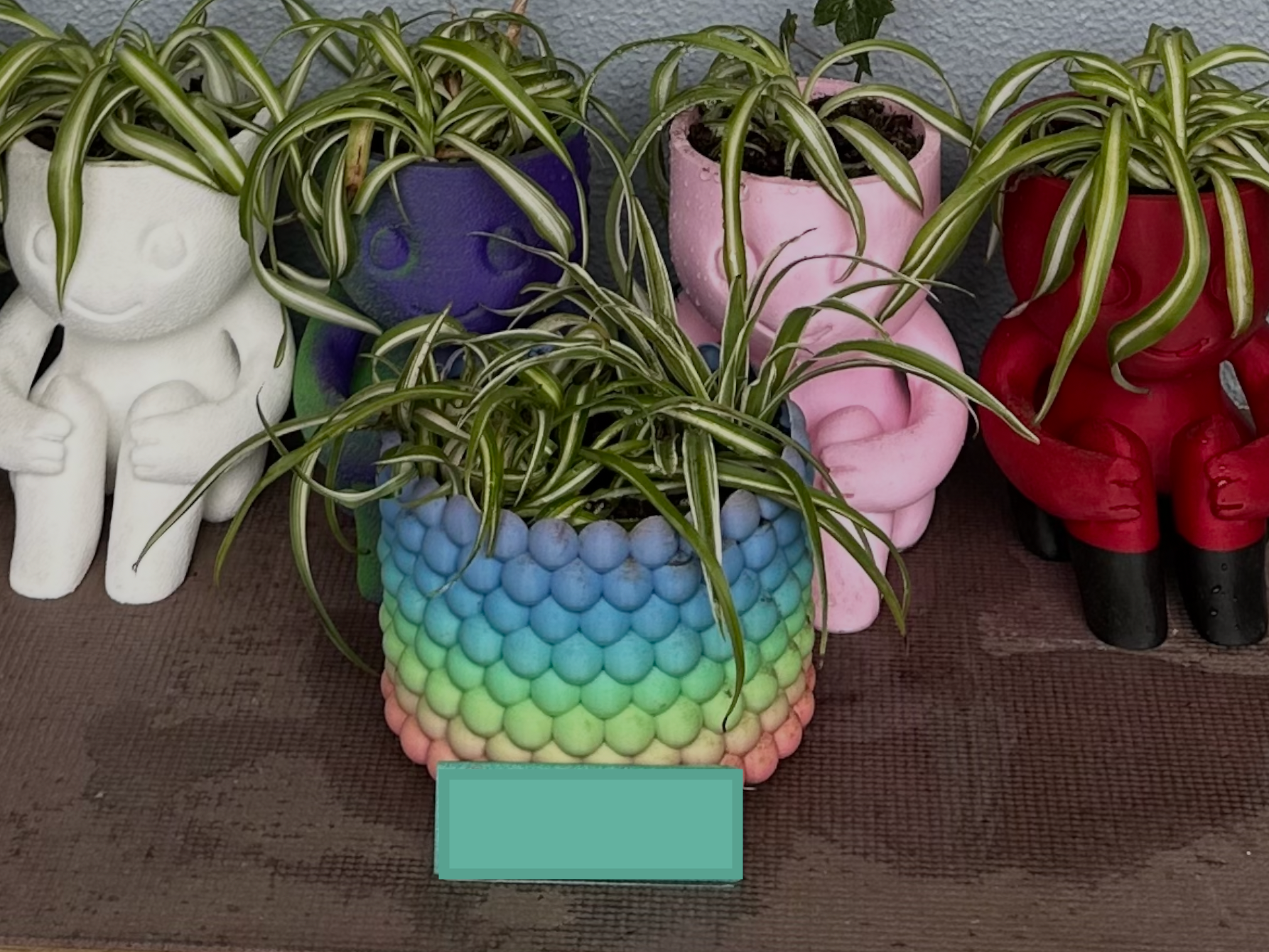 Cute Bubble Planter w/ Built-in Drainage Mesh 
