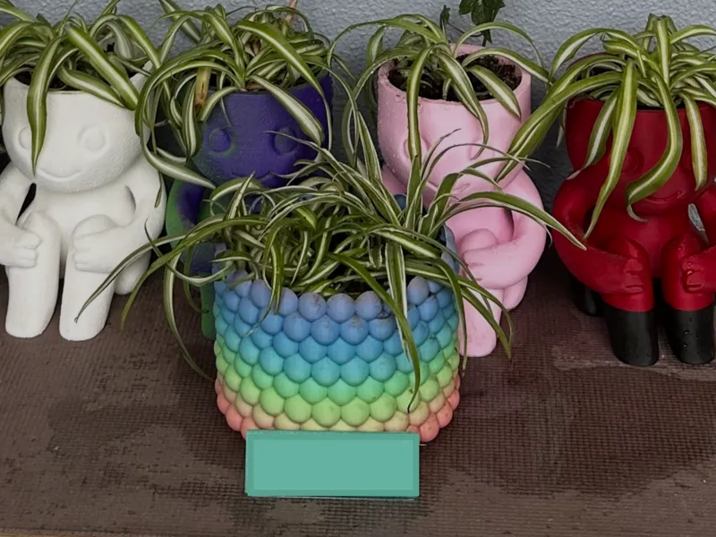 Cute Bubble Planter w/ Built-in Drainage Mesh