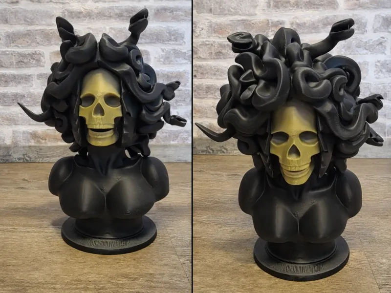 Medusa Bust