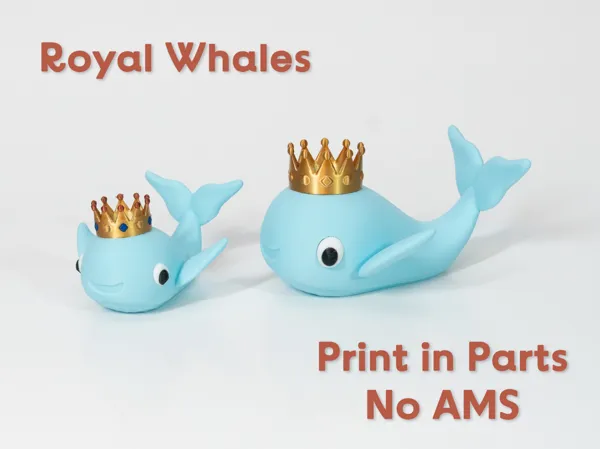 https://makerworld.bblmw.com/makerworld/model/USfc30fd573fa6c3/design/2025-05-15_7ee89b1b691c68.jpg