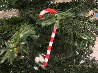 Sugarcane Christmas ornaments
