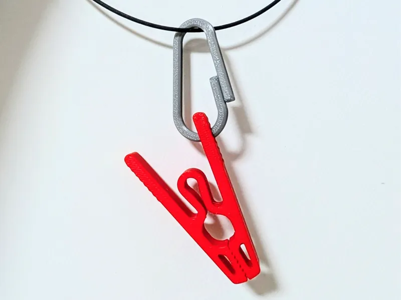 Compliant Clip with Detachable Snap Hook