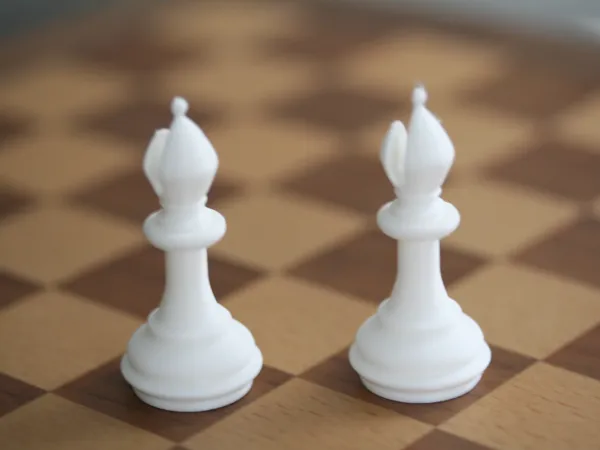 https://makerworld.bblmw.com/makerworld/model/USfc3992f0366d1e/design/2024-08-12_16469f418d5c8.jpg