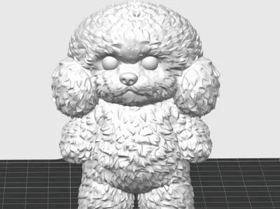 Perro poodle teddy
