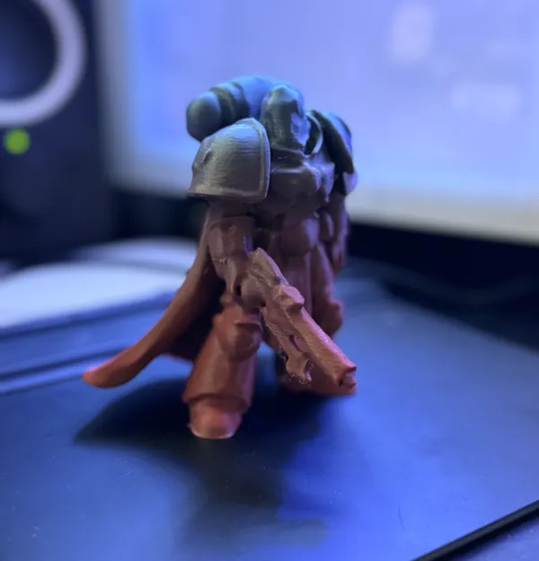 https://makerworld.bblmw.com/makerworld/model/USfc3c81089d53fb/design/2024-11-24_67ffbbd0bab86.jpg