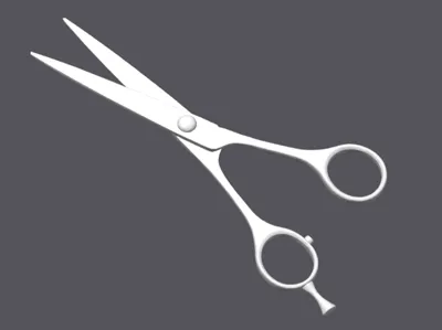 Golden-Black Hairdressing Scissors