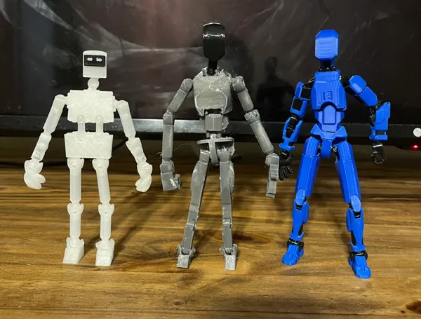 https://makerworld.bblmw.com/makerworld/model/USfc3f5ebe2c5d8/design/2024-03-06_f23e2ea9d4ffd.jpeg