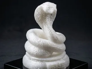 Year of the Snake 蛇年 - Chinese Zodiac (1 of 12)