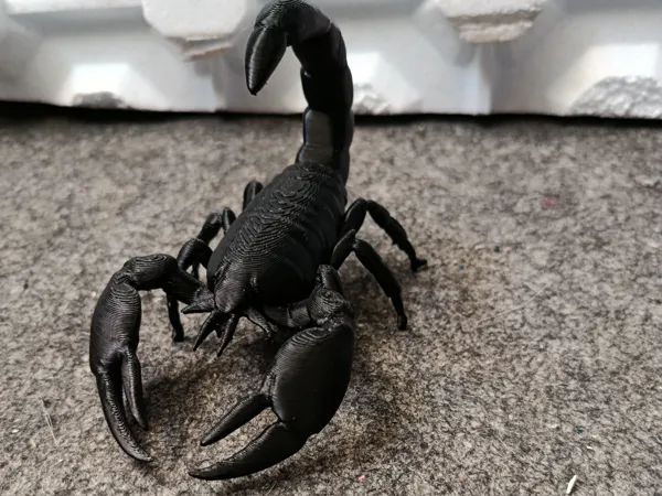 https://makerworld.bblmw.com/makerworld/model/USfc42b126b7d057/design/2025-11-03_f3e9fd156d3e78.jpg