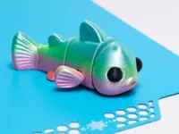 Fish Multicolor