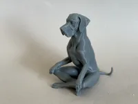 0.16mm layer, 2 walls, 5% infill