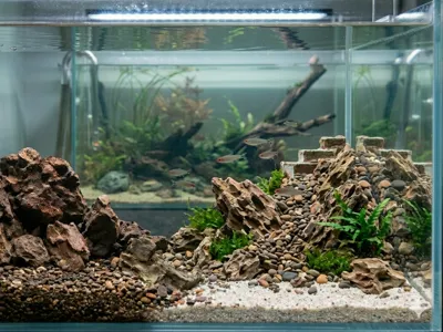 Rockfall for aquarium or terrarium decor