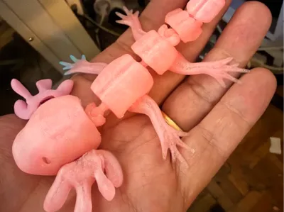 Axolotl 13