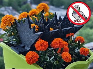Pigeon / Bird repellent spikes